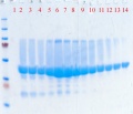 Thumbnail for version as of 10:26, 12 March 2012