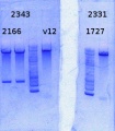 Thumbnail for version as of 13:05, 19 September 2014