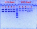 Thumbnail for version as of 14:02, 27 December 2012