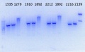 Thumbnail for version as of 16:28, 7 July 2014