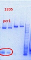 Thumbnail for version as of 16:24, 9 August 2013