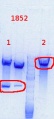 Thumbnail for version as of 11:10, 21 October 2013