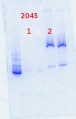 Thumbnail for version as of 15:28, 7 February 2014