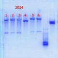 Thumbnail for version as of 12:38, 21 February 2014