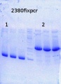 Thumbnail for version as of 14:06, 26 December 2014