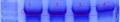 Thumbnail for version as of 16:53, 26 September 2011
