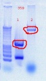 Thumbnail for version as of 15:14, 5 October 2011