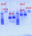 Thumbnail for version as of 15:11, 4 February 2013
