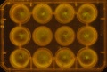 Thumbnail for version as of 11:28, 28 December 2011