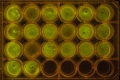 Thumbnail for version as of 08:34, 24 June 2014