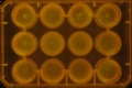 Thumbnail for version as of 12:44, 23 November 2011