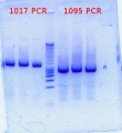 Thumbnail for version as of 11:37, 16 April 2012