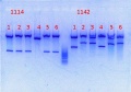 Thumbnail for version as of 17:25, 14 February 2014