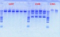 Thumbnail for version as of 10:05, 28 September 2012