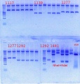Thumbnail for version as of 11:23, 12 December 2012
