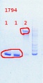 Thumbnail for version as of 11:16, 24 July 2013