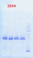 Thumbnail for version as of 16:14, 11 October 2013
