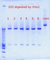 Thumbnail for version as of 15:53, 13 April 2012