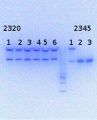 Thumbnail for version as of 13:37, 24 September 2014