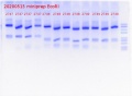 Thumbnail for version as of 10:55, 18 May 2020