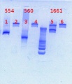 Thumbnail for version as of 14:35, 11 February 2013