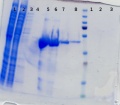 Thumbnail for version as of 17:21, 1 December 2014