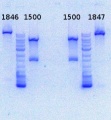 Thumbnail for version as of 16:25, 25 October 2013