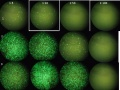 Thumbnail for version as of 18:48, 23 March 2011