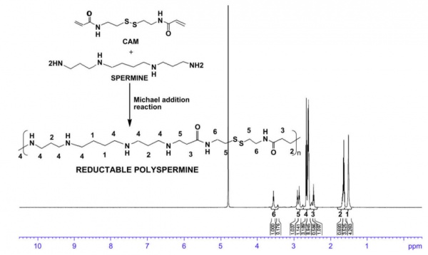 Reduciable polyspermine.jpg
