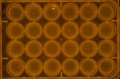 Thumbnail for version as of 11:11, 30 June 2016