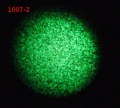 Thumbnail for version as of 15:31, 21 February 2012