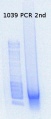 Thumbnail for version as of 16:35, 16 April 2015
