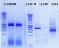 Thumbnail for version as of 16:43, 6 December 2012