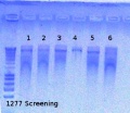 Thumbnail for version as of 15:30, 6 August 2012