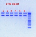 Thumbnail for version as of 16:39, 19 December 2012