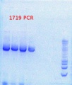 Thumbnail for version as of 13:36, 11 July 2013