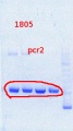 Thumbnail for version as of 16:24, 9 August 2013