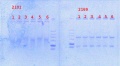 Thumbnail for version as of 13:26, 30 April 2014