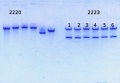Thumbnail for version as of 11:39, 22 May 2014