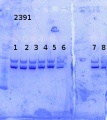 Thumbnail for version as of 14:26, 26 December 2014