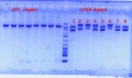 Thumbnail for version as of 14:16, 30 April 2012