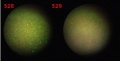 Thumbnail for version as of 15:43, 21 February 2012