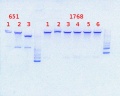 Thumbnail for version as of 15:20, 17 July 2013