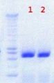 Thumbnail for version as of 11:24, 18 July 2012