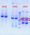 Thumbnail for version as of 12:52, 30 August 2012