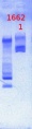 Thumbnail for version as of 15:15, 7 March 2013