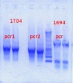 Thumbnail for version as of 13:21, 19 April 2013