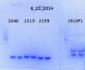 Thumbnail for version as of 16:25, 7 July 2014