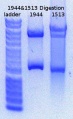 Thumbnail for version as of 16:38, 20 April 2015