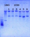 Thumbnail for version as of 17:07, 20 February 2014